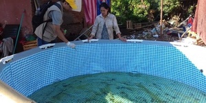Aumentan los casos de dengue en Alto Paraná: CDE lidera la lista de afectados