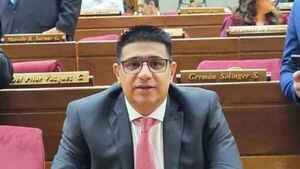 Diputado advierte sobre monopolio de empresas si se centraliza la merienda escolar