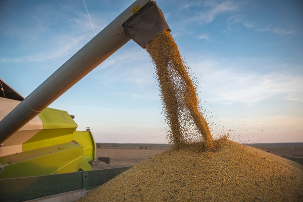 USDA sube pronóstico de producción de soja en el país