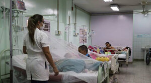 Pico máximo de casos de dengue y Covid se daría en dos semanas