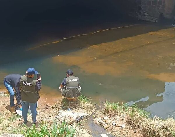Mades verifica mortandad de peces en el Arroyo Lambaré - ADN Digital