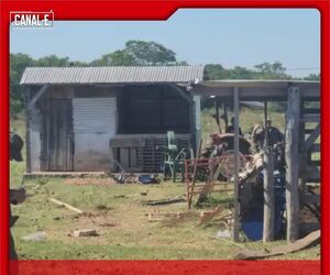 ROBARON 50 VACAS Y DEJARON MANIATADO AL ENCARGADO DE LA ESTANCIA
