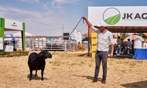 Innovar 2024 incorporará un pabellón empresarial para el segmento agropecuario