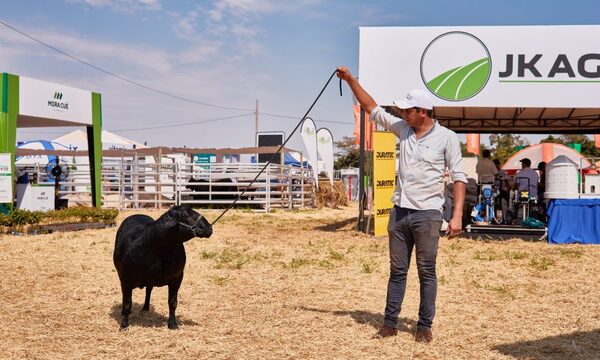 Innovar 2024 incorporará un pabellón empresarial para el segmento agropecuario