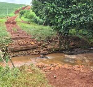 Tomás Romero Pereira: Cayó precario puente de madera y comunidades quedan prácticamente aisladas - Nacionales - ABC Color