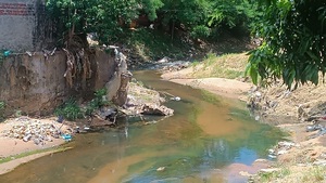 Mades verifica mortandad de peces en el Arroyo Lambaré