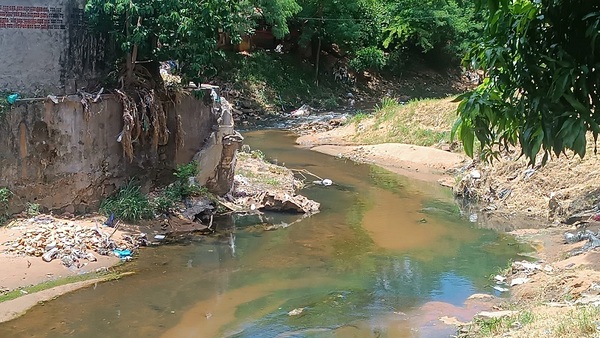 Mades verifica mortandad de peces en el Arroyo Lambaré