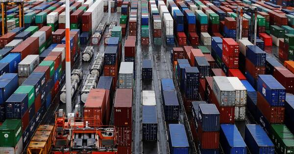 La Nación / Puerto de Amberes tiene récord en decomiso de droga que proviene de Colombia y Ecuador