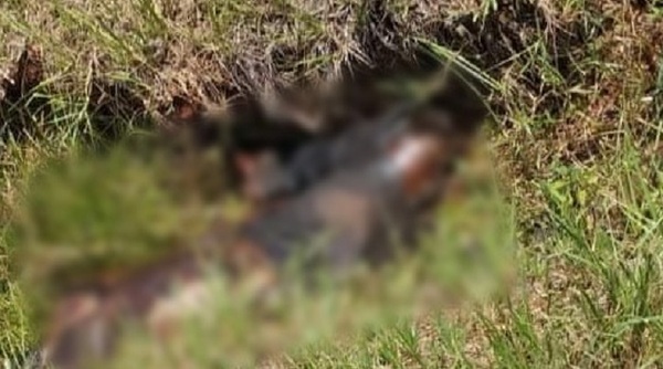 Hallan el cadáver de un hombre en estado de descomposición en Coronel Oviedo - Noticiero Paraguay