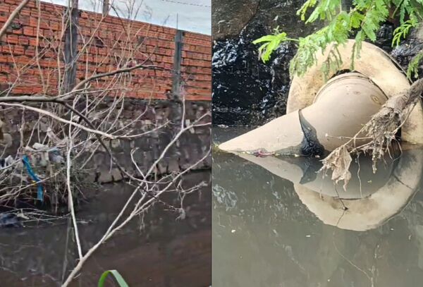 Suspenden licencia a frigorífico por contaminar arroyo en MRA - Megacadena - Diario Digital