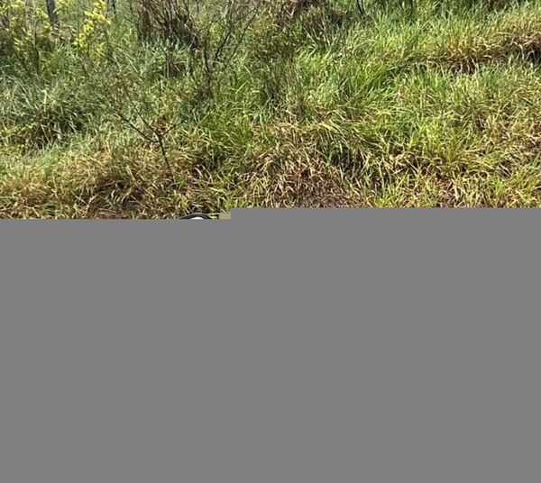 Sube a dos los fallecidos en caída de camioneta al costado de una ruta en Bella Vista