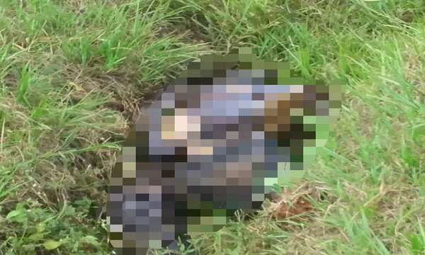 Macabro hallazgo de un cuerpo en una cuneta en Coronel Oviedo