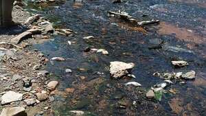 El Mades verifica mortandad de peces en el arroyo Lambaré   - Nacionales - ABC Color