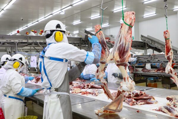 Carne paraguaya desembarca triunfalmente en Estados Unidos