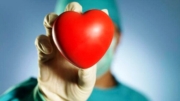 Lamentan que alto porcentaje de familias se niegue a donar órganos