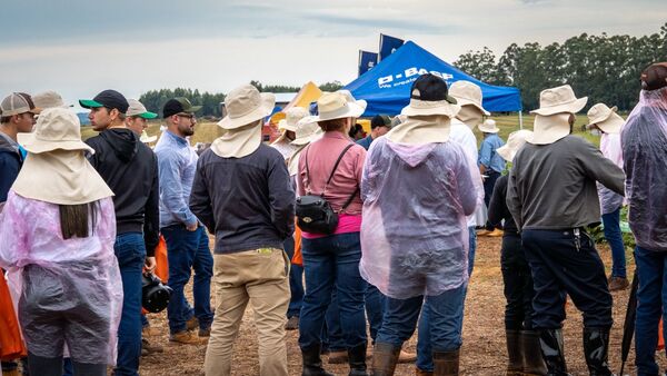 Semillas Credenz con alto techo productivo fueron expuestas por BASF