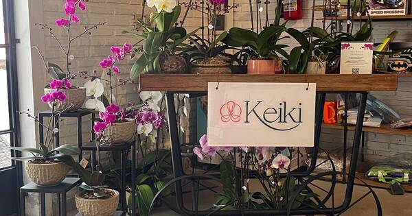 La Nación / Keiki llegó a San Bernardino a dar más color con orquídeas y arreglos