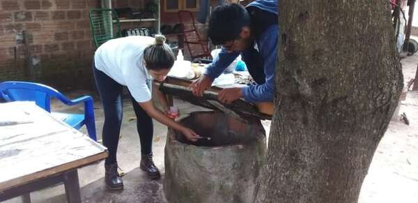 Salud detecta más casos de dengue y covid en Ayolas - Nacionales - ABC Color