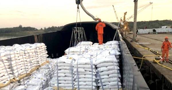La Nación / Arroceros cerraron el 2023 con volumen histórico en exportaciones