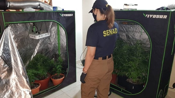 Caso marihuana VIP: Abogado anuncia apelación de sentencias de dos condenados