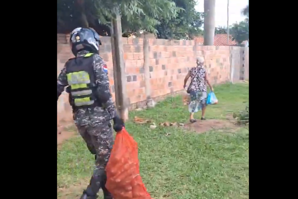 ¡El video que se hizo viral este viernes! Lince bajó y ayudó a una abuelita