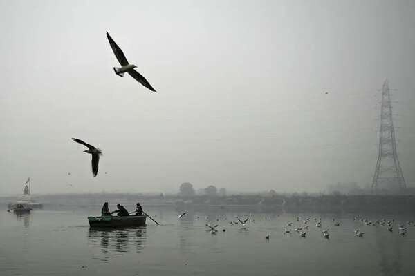 El nivel de amoniaco envenena el principal río de Nueva Delhi y provoca una crisis de agua - Mundo - ABC Color