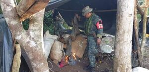 Éxito en Operación de Erradicación de Marihuana por CODI, SENAD y Ministerio Público