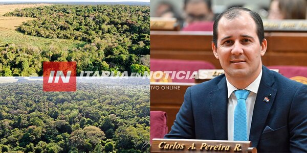 CARLOS PEREIRA: “ABORDAMOS EL TEMA DE LA RESERVA SAN RAFAEL Y LA SITUACIÓN ES COMPLEJA” - Itapúa Noticias