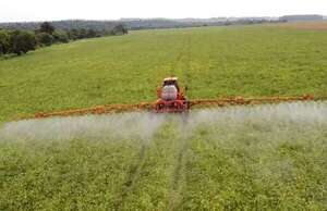 AUDIO: Hay optimismo en el campo sobre campaña agrícola 2023/2024, según Capeco - Enfoque económico - ABC Color