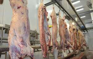 AUDIO: Exportación de carne con hueso a Israel no incidirá en precios de mercado doméstico, aseguran - Enfoque económico - ABC Color