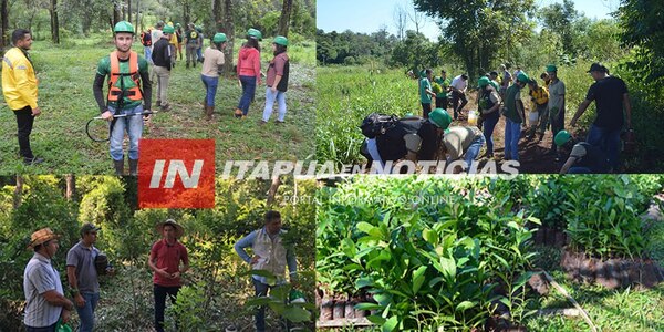 CONSERVACIÓN DE LA RESERVA SAN RAFAEL ES UNA PROBLEMÁTICA DESDE HACE AÑOS - Itapúa Noticias