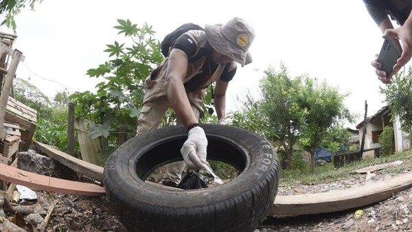 Ránking de las ciudades donde más criaderos de mosquitos se detectan