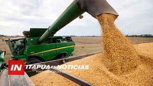 PRODUCCIÓN PARAGUAYA GANA TERRENO EXPORTANDO A MERCADOS EUROPEOS - Itapúa Noticias