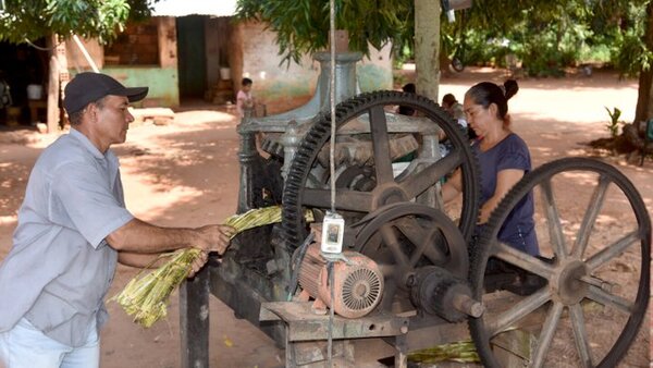 Mosto helado: Delicioso trago que refresca el ardiente verano paraguayo
