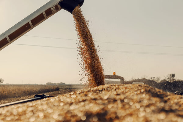 Proyecciones 2023/2024: EEUU ubica a Paraguay entre los países con mejores estimaciones para la producción de soja - MarketData