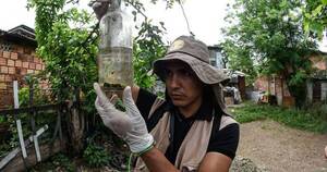 Diario HOY | Botellas, registros de agua y axilas de hojas: criaderos de mosquitos más frecuentes en barrios