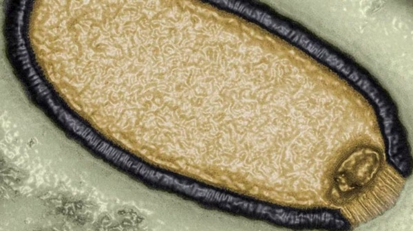 ‘Virus zombis’ del Ártico podrían provocar una nueva y mortal pandemia, advierten