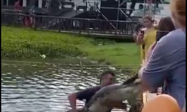 (VIDEO)Causa indignación trato a Yacaré de la laguna de Itá