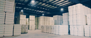 Cooperativa Chortitzer: pionera en la exportación de semillas de algodón en forma de ración ganadera