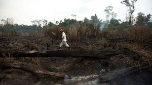 Los incendios forestales en Brasil destruyeron un área del tamaño de Uruguay en 2023