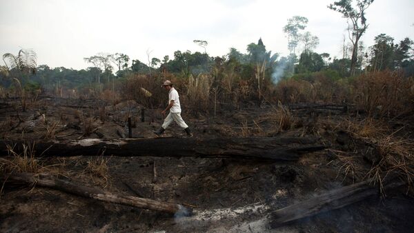 Los incendios forestales en Brasil destruyeron un área del tamaño de Uruguay en 2023