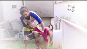 Un original emprendimiento que hará a tus mascotas más limpias - SNT