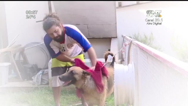 Un original emprendimiento que hará a tus mascotas más limpias - SNT