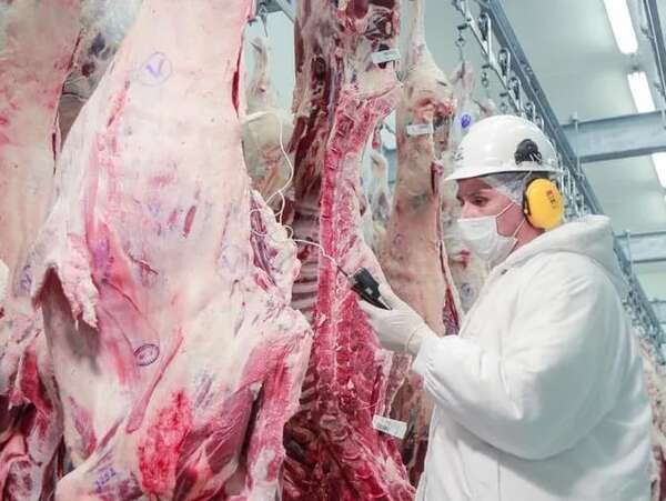 UGP rechaza plan de la UE para las exportaciones paraguayas - Economía - ABC Color