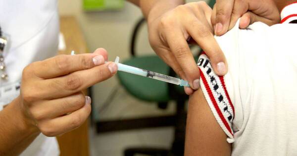 La Nación / Brasil iniciará campaña de vacunación contra el dengue
