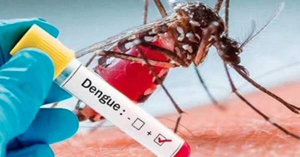 Diario HOY | Brasil iniciará campaña de vacunación por aumento del dengue