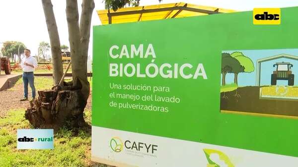 Video: Cama Biológica Indirecta para desechar restos de fitosanitarios - ABC Noticias - ABC Color