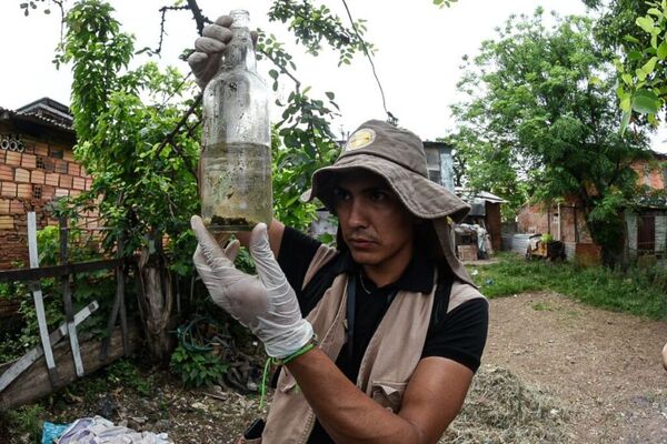 LAS BOTELLAS, CRIADEROS MÁS ENCONTRADOS EN CENTRAL E ITAPÚA - Itapúa Noticias