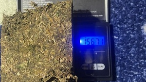 Incautan 2.800 kilos de semilla de marihuana durante allanamiento en Yby Pytâ