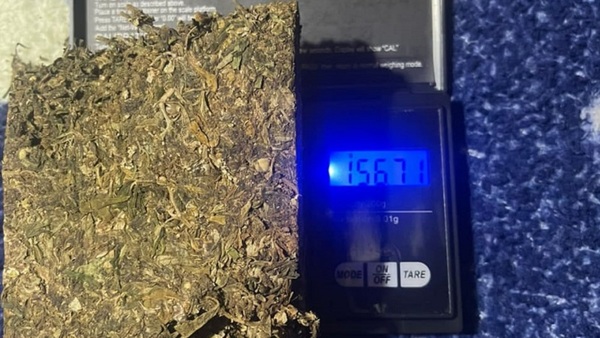 Incautan 2.800 kilos de semilla de marihuana durante allanamiento en Yby Pytâ